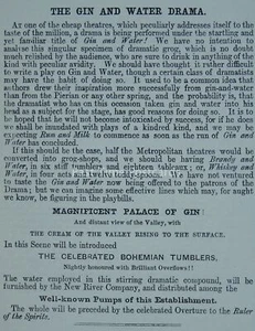 THE GIN & WATER DRAMA Magnificent Palace of Gin - Original 1854 Victorian Print - Imagen 1 de 2