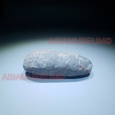 OVIRAPTOR RAPTOR Velociraptor Dinosaur Egg Fossil Theropod JURASSIC WORLD VP