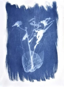 Cianotipia 56,5x76,5 cm TRA LE BRUME IN THE MIST, Rita Mungiardi, originale 2024 - Foto 1 di 12