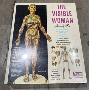 Vintage 1960 Renwal The Visible Woman Assembly Kit - New Sealed - Picture 1 of 8