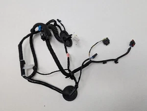 Tesla Model 3 Rear Right Door Wiring 3067966-00-A OEM - Picture 1 of 21