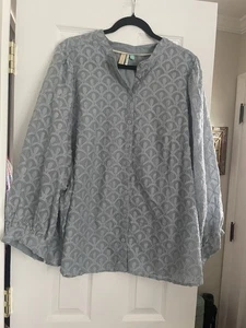 Anthropologie Bella Femme Button down By Pilcro Lt Blue Sz 3X - Picture 1 of 5