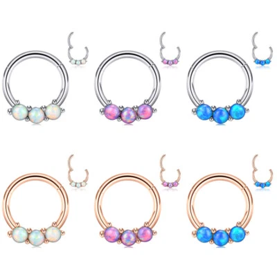 Anillo de segmento con bisagras de acero quirúrgico de 1 pieza con aro de nariz de ópalo 16G pendiente de cartílago Foto 1 de 4