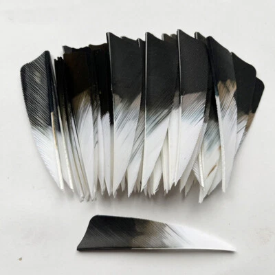 50 PCS 3INCH Shield Gradient Black Archery Arrow Feathers Fletchings RW LW - Image 1 of 4
