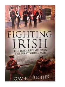 FIGHTING IRISH The Irish Regiments in the First World War (Hughes 2015) Pb WW1 - Picture 1 of 1
