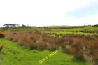 Photo 6x4 Moorland near Salchrie Croft Leswalt  c2014