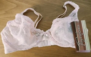 NWT Fayreform Esteem Size 12C Pink Ivory Underwire Bra F73-5033 RRP $59 - Picture 1 of 11
