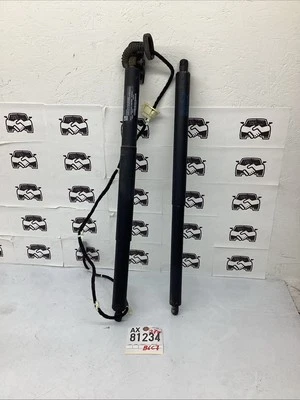 Chevrolet Equinox GMC TERRAIN puerta levadiza maletero soporte motor puntal OEM 2016 2017 Foto 1 de 3