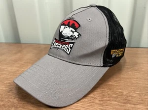Charlotte Checkers Gorra Trasera de Malla a Presión Gorra de Pelota Ligas Menores Hockey Nuevo Sin Etiquetas - Imagen 1 de 7