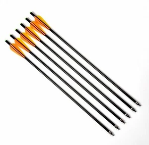 6Pcs 20" Fiberglass Arrows Archery With Replaceable Tips For Shooting Practice - Picture 1 of 6