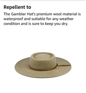 Silver Canyon Women’s Gambler Telescope Wool Felt Wide Brim Western Hat Medium - Picture 1 of 7
