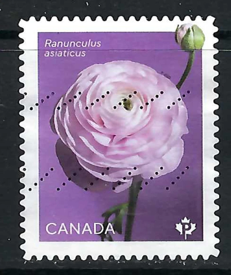CANADA USED - SCOTT # 3376 - FROM BOOKLET - RANUNCULUS - 2023 — 第 1/1 张图片