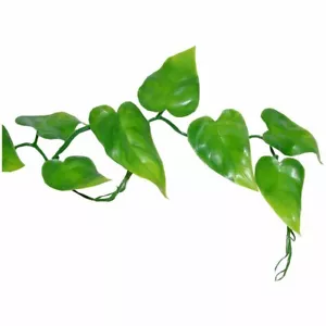 Lucky Reptile Pilodendrum Ranke ca.200cm Wasserschildkröten Terrarium Pflanze - Bild 1 von 2