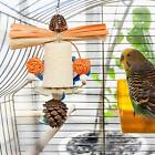 Bird Chewing Toy Swinging Durable Unique Bird Perch Stand Cage Accessory