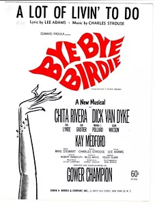 DICK VAN DYKE Sheet Music A LOT OF LIVIN' TO DO from BYE BYE BIRDIE 1960 - Picture 1 of 6