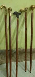 Set 5 pezzi bastone da passeggio ottone antico manico diverso canna legno vittoriana - Foto 1 di 4