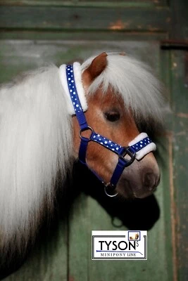 Halfter POLKA Punkte Nylon Fohlen Minishetty Mini Shetty Blau Rot Schwarz Tysons - Bild 1 von 4