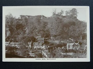 Wales MONTGOMERY Plough Bank & Castle - Old RP Postcard - Picture 1 of 3
