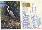 19902 - Graureiher - Grey Heron - Ansichtskarte, gelaufen Rendsburg 31.1.1977