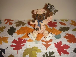 Boyds Bears Pigadilly Honeyglaze Don't Pig OutShoe Box Bears - Bild 1 von 10