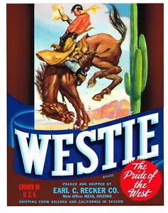 ORIGINALE C1950 ETICHETTA CRATE WESTIE BUCKING BRONCO COWBOY TAVOLO AZ VINTAGE RODEO - Foto 1 di 1