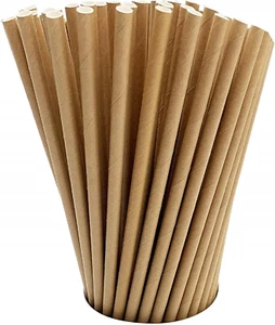 100 Pack Kraft Paper Straws Biodegradable Co-Friendly Drinking Bulk for Party Su - Picture 1 of 8