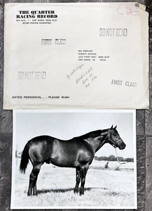 Foto original de cuarto de caballo AZURE TE 1976 de Walt Wiggins (Salón de la Fama 2015) - Imagen 1 de 8