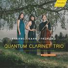 Johannes Brahms Quantum Clarinet Trio: Brahms/Kahn/Frühling (Cd) Album