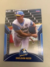Sheldon Reed Card 2022 Myrtle Beach Pelicans Team Card
