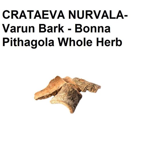 CRATAEVA NURVALA Varun Bark Bonna Pithagola,Natural Whole Original ...