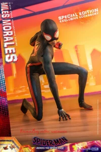 Hot Toys 1/6 Mms710b Spider-Man Across The Spider-Verse Miles Morales Deluxe Ver - Picture 1 of 18