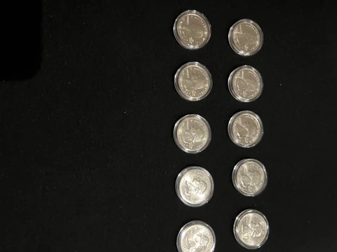 2019 W 2020 W complete set of all 10 coins Cover