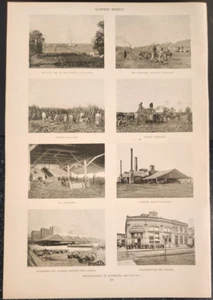 Refinería de plantación para hacer caña de azúcar Nueva Orleans Louisiana Harper's Weekly 1894 - Imagen 1 de 1