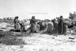 Rpl-93 Aboriginal Women On Sunday Island 'Pearling'. Photo