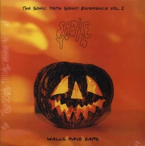 Sonic Youth - Walls Have Ears Volume 2: The Sonic Youth Sound Experien - Picture 1 of 1