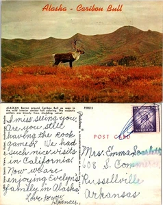 Postal Alaska Caribú Bull Scene Wildlife coleccionable - Imagen 1 de 1