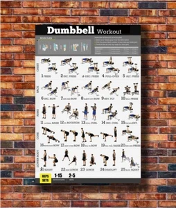 New Dumbbell Workout Exercise Body Strength Poster -14x21 24x36 Art Gift X-797 - Picture 1 of 5