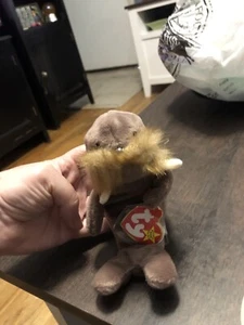 Ty 4082 Beanie Baby Plush Animal Jolly Walrus Style 1996 - Picture 1 of 2