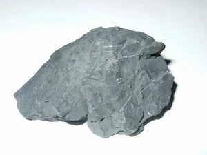 - Minerali Grezzi Cristalloterapia - SHUNGITE (30) russia - Picture 1 of 1