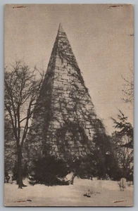 Chesapeake Airways Inc Maryland Postcard - Picture 1 of 2