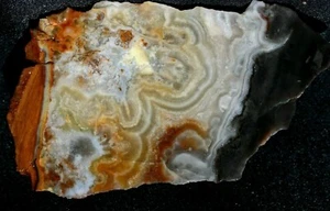 A938 ~ 2,8 Unzen Plattenblume aus Pfirsichachat ~ Chihuahua, Mexiko - Bild 1 von 6