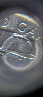 2016 P Cumberland Gap " Hat Die Chip " Error Coin  - Image 1 of 3