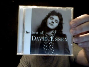 THE BEST OF DAVID ESSEX CD ALBUM POP MUSIC BIRTHDAY SAVE THE ££££S - Picture 1 of 1