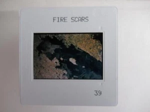 Fire Scars South Australia - Tierra desde el espacio 35 mm Celuloide Slide - Imagen 1 de 1