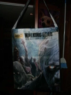 NUEVO EXCLUSIVO 2014 NYCOMICCON THE WALKING DEAD Bolso de Vinilo aprox 30 x 20 Foto 1 de 2