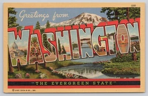 Greetings from Washington Evergreen State Linen Postcard - Picture 1 of 2