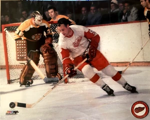 Gordie Howe #9 Detroit Red Wings  Lab printed Photo 8x10 NHL - Picture 1 of 1