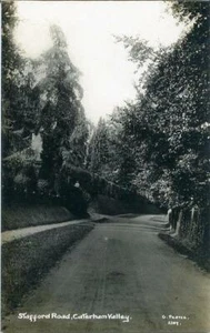 REAL PHOTO POSTCARD OF STAFFORD ROAD, CATERHAM VALLEY, (NEAR CROYDON), SURREY - Picture 1 of 2