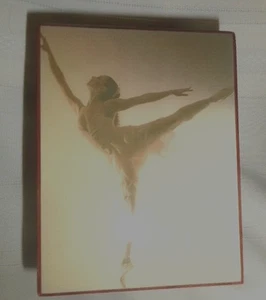 VTG AMERICAN MUSIC BOX CO. REUGE ROMANCE MUSIC HANDCRAFTED TEMPLE AZ BALLERINA - Picture 1 of 4