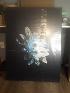 Designer Art Close Up Of Pure Blue And Whte Daisy Flower Traditional Canvas Wall - Picture 1 of 7